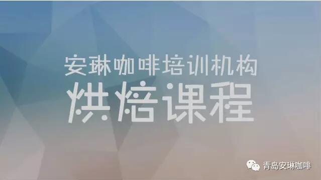 安琳咖啡|烘焙课程及SCA认证