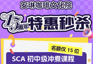 安琳咖啡文化院15年校庆特惠秒杀！CVA上车！