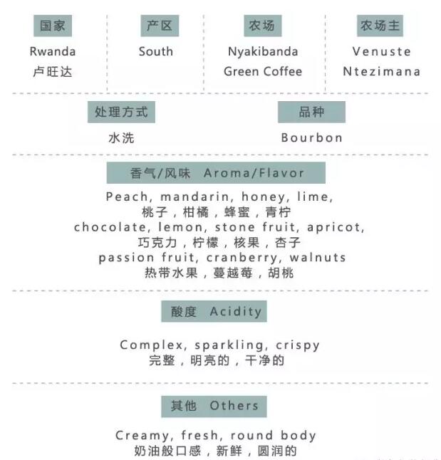 咖啡豆-咖啡培训