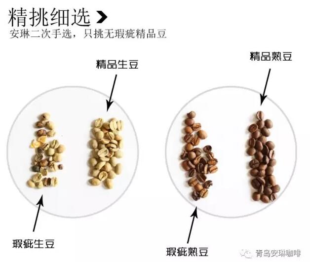安琳咖啡二次手选
