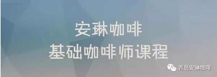 安琳基础咖啡师课程