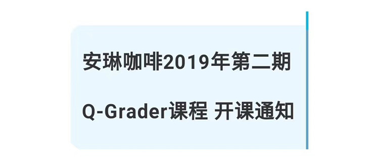 安琳咖啡2019年第二期Q-Grader课程